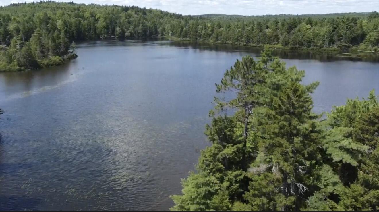 Lot 6 Goulding Lk Road Robbinston, ME 04671 - Photo 26 of 30 IMG_4188