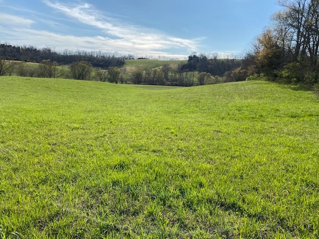 2364 Santa Fe Road Brooksville, KY 41004 - Photo 7 of 21 Gallery Image 7