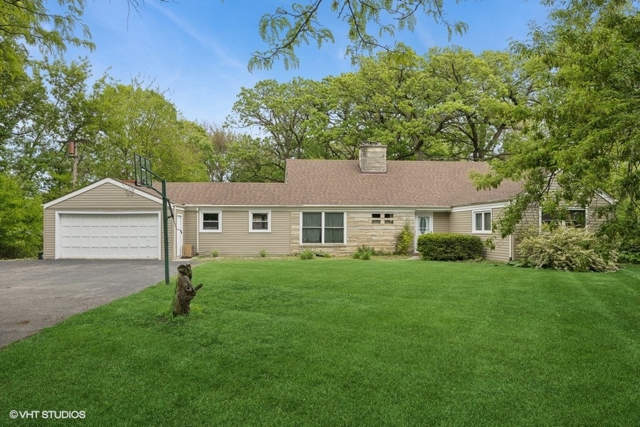 a view of a yard in front of a house with plants and large tree
