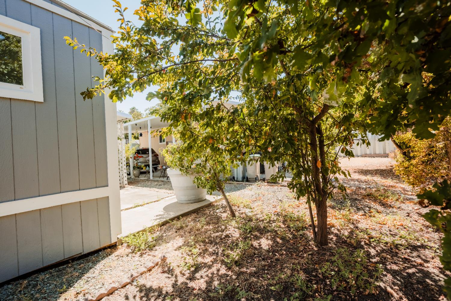 3901 Lake Road, Unit 151 West Sacramento, CA 95691 - Photo 7 of 18 a view of yard from a hallway