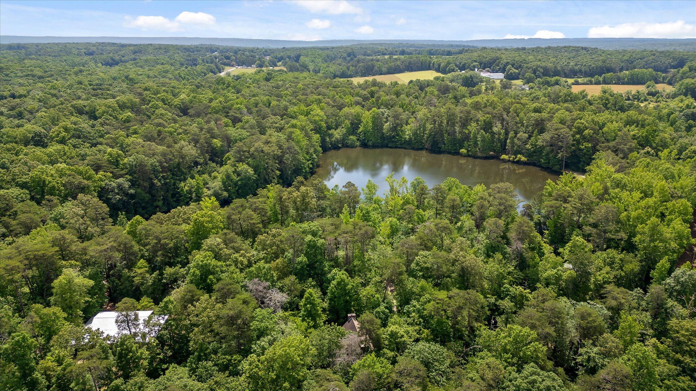 390 Moon Lake Road Mentone, AL 35984 - Photo 60 of 60 05-Moon Lake-4