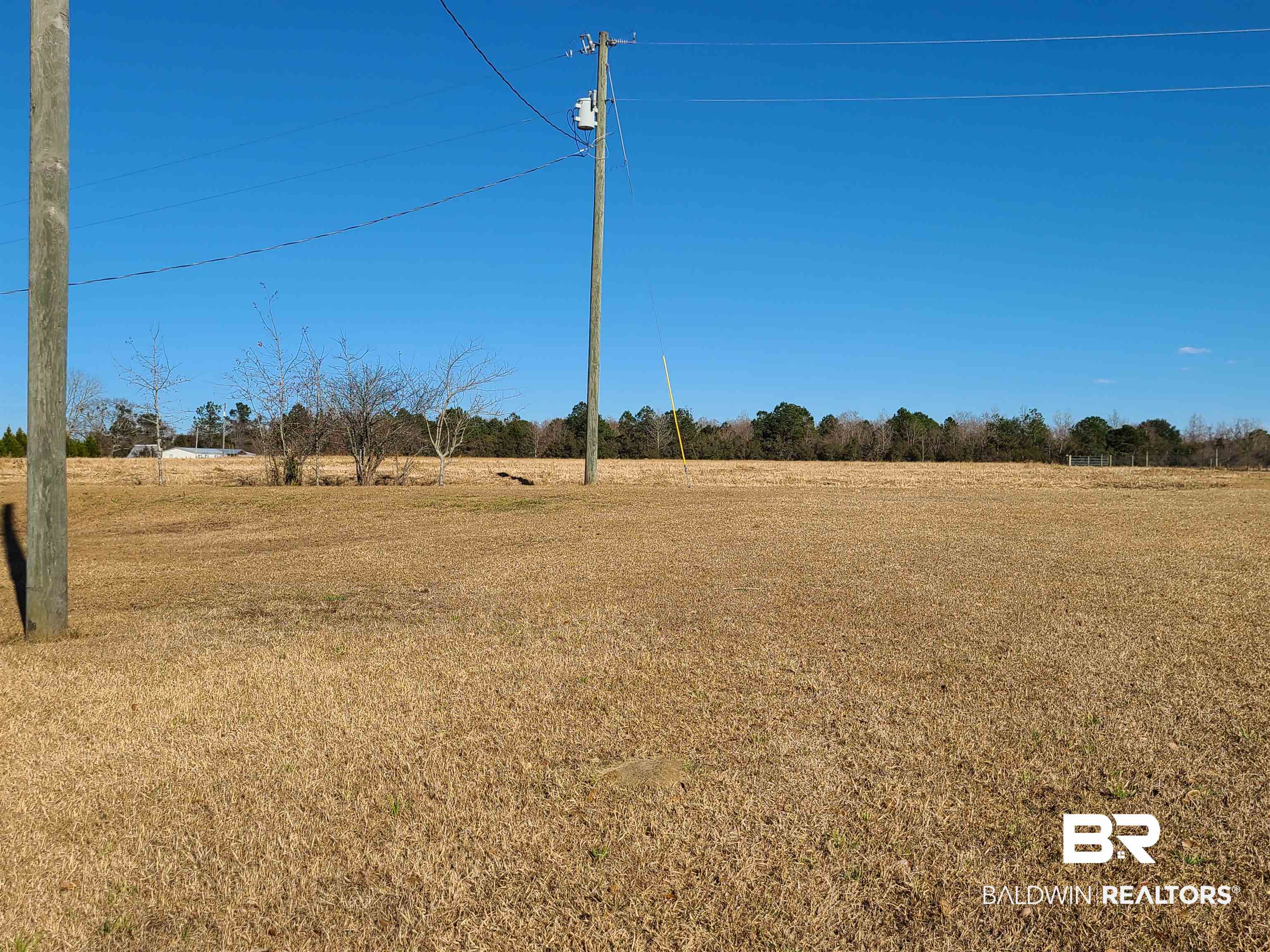 15405 Roland Davis Road North Wilmer, AL 36587 - Photo 19 of 27