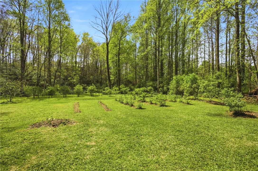 305 Wildwood Road Walhalla, SC 29691 - Photo 31 of 42