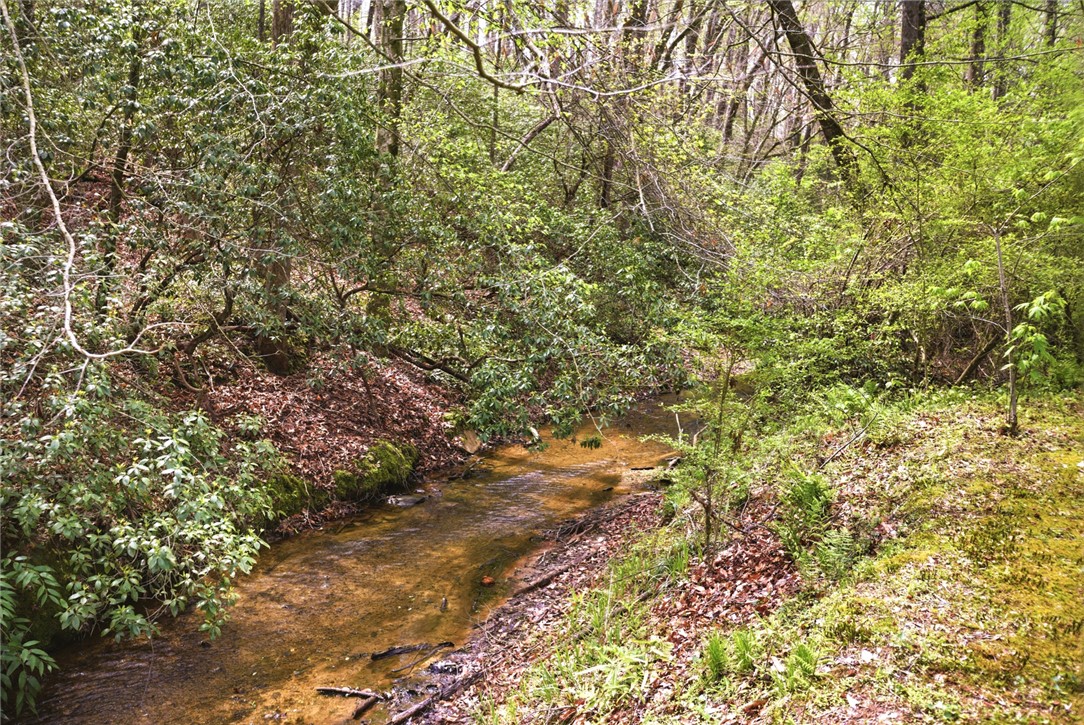 305 Wildwood Road Walhalla, SC 29691 - Photo 4 of 42