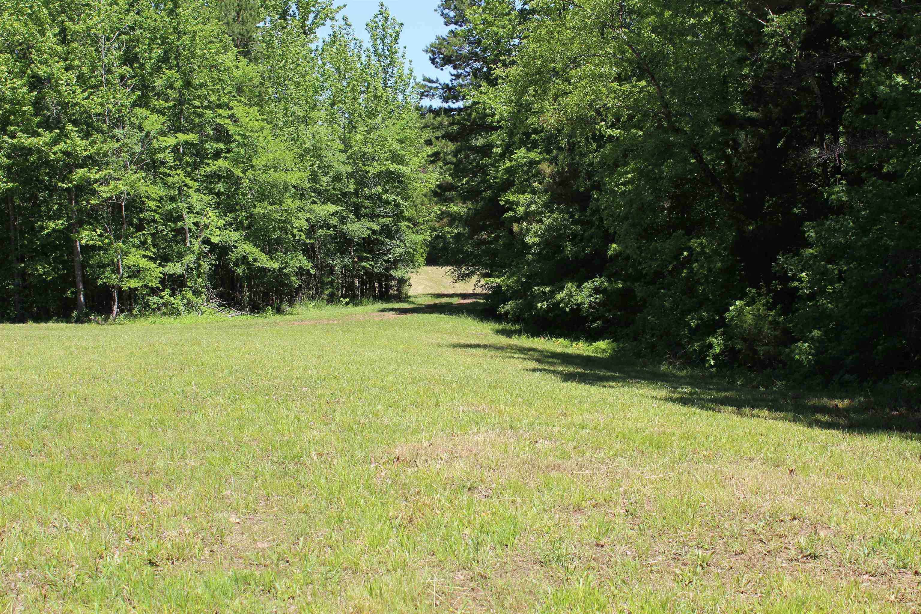 0 Silerton Road Toone, TN 38381 - Photo 15 of 24
