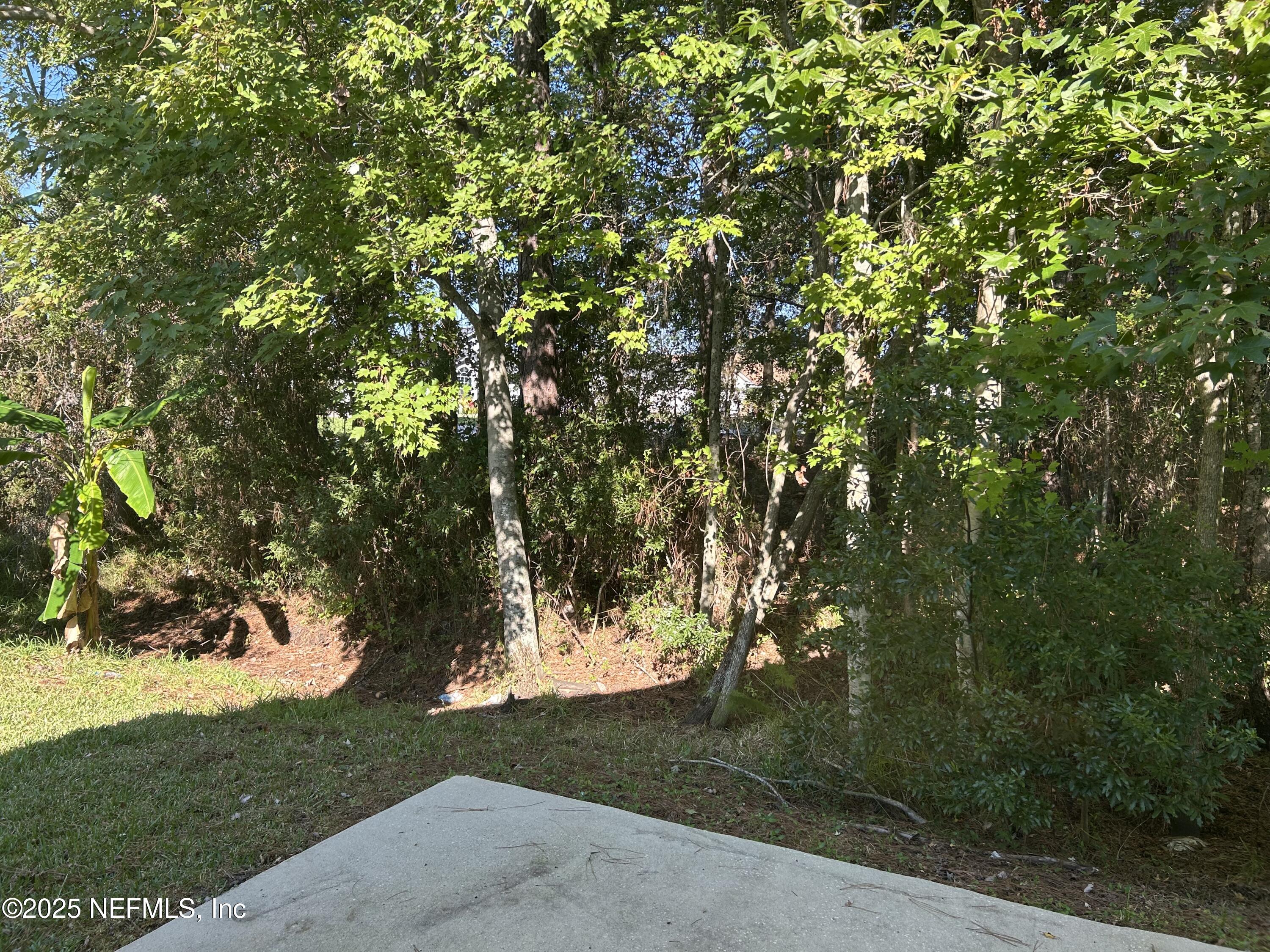 1425 Laurel Oak Drive Fleming Island, FL 32003 - Photo 23 of 25 a view of a trees with a yard