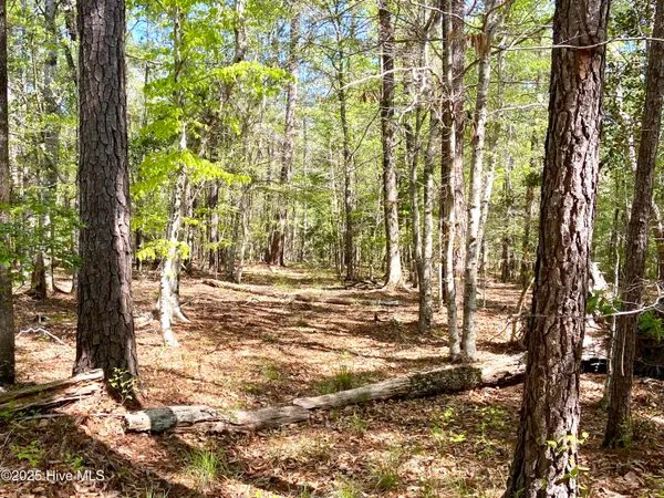$125,000 | Lot 2 Berrys Creek Road, Beaufort, NC 28516
