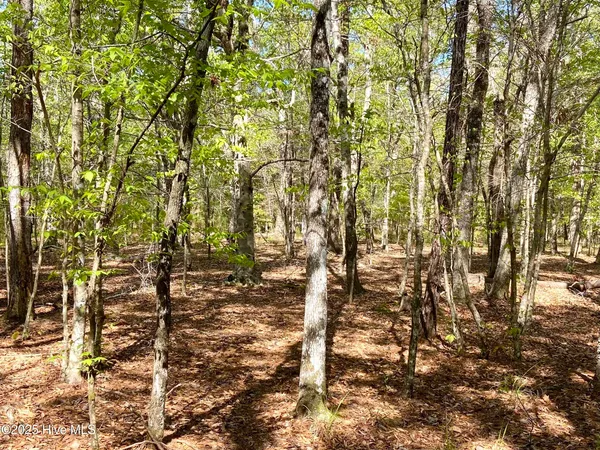$125,000 | Lot 2 Berrys Creek Road, Beaufort, NC 28516