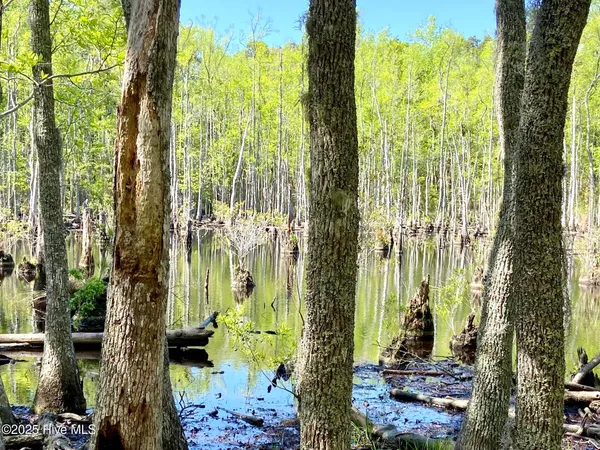 $125,000 | Lot 2 Berrys Creek Road, Beaufort, NC 28516