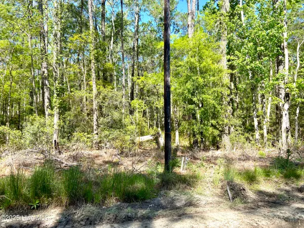 $125,000 | Lot 2 Berrys Creek Road, Beaufort, NC 28516