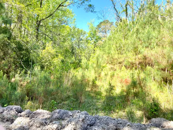 $125,000 | Lot 2 Berrys Creek Road, Beaufort, NC 28516