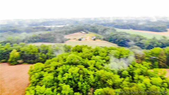 a view of a yard with an ocean