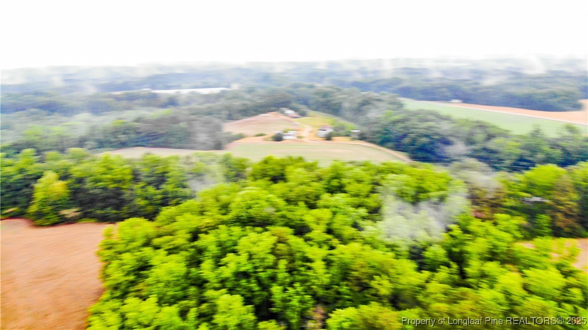 1896-0 Clark Road Lillington, NC 27546 - Photo 11 of 14 a view of a yard with an ocean