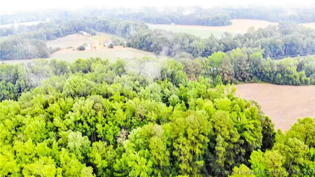 a view of a yard with a tree