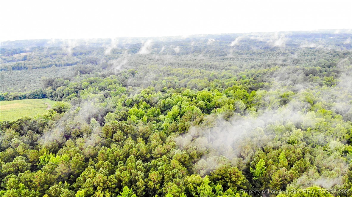 1896-0 Clark Road Lillington, NC 27546 - Photo 5 of 14 a view of a lush green forest with lush green forest