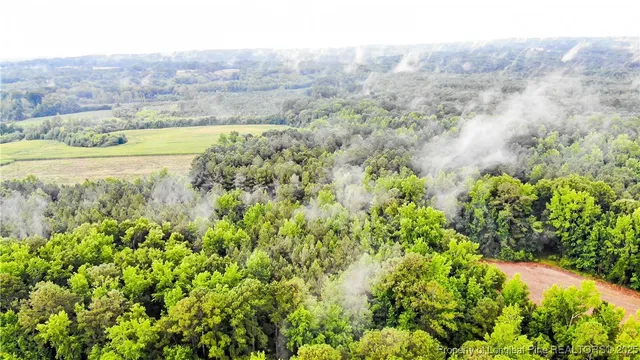 a view of a lush green field with trees in the background