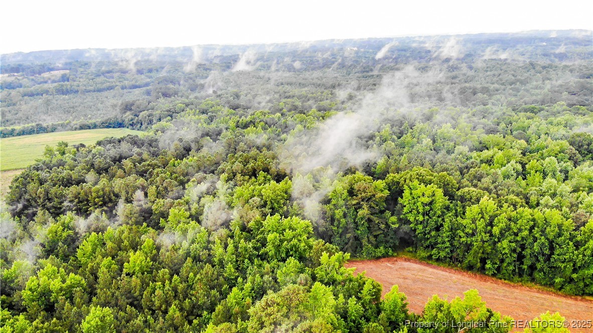 1896-0 Clark Road Lillington, NC 27546 - Photo 7 of 14 a view of a lush green field