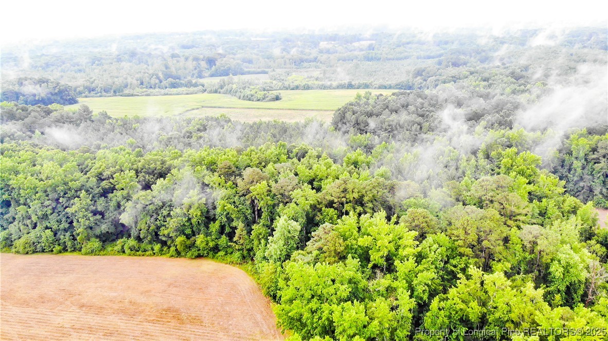 1896-0 Clark Road Lillington, NC 27546 - Photo 8 of 14 a view of a swimming pool with a yard