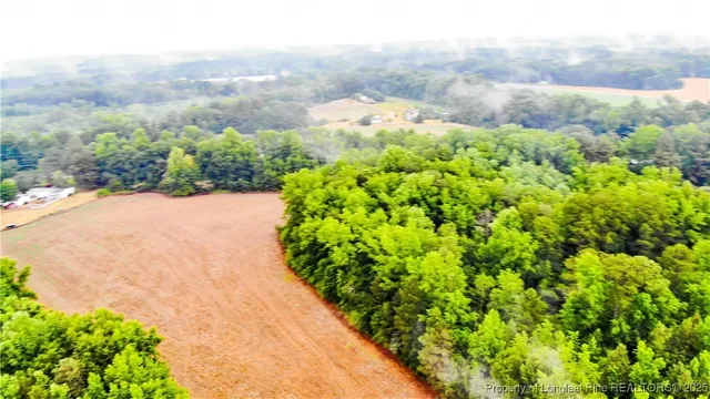 a view of a pathway both side of grassy field with trees