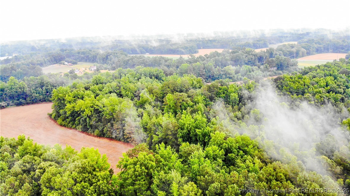 1896-0 Clark Road Lillington, NC 27546 - Photo 10 of 14 a view of a garden with lawn chairs