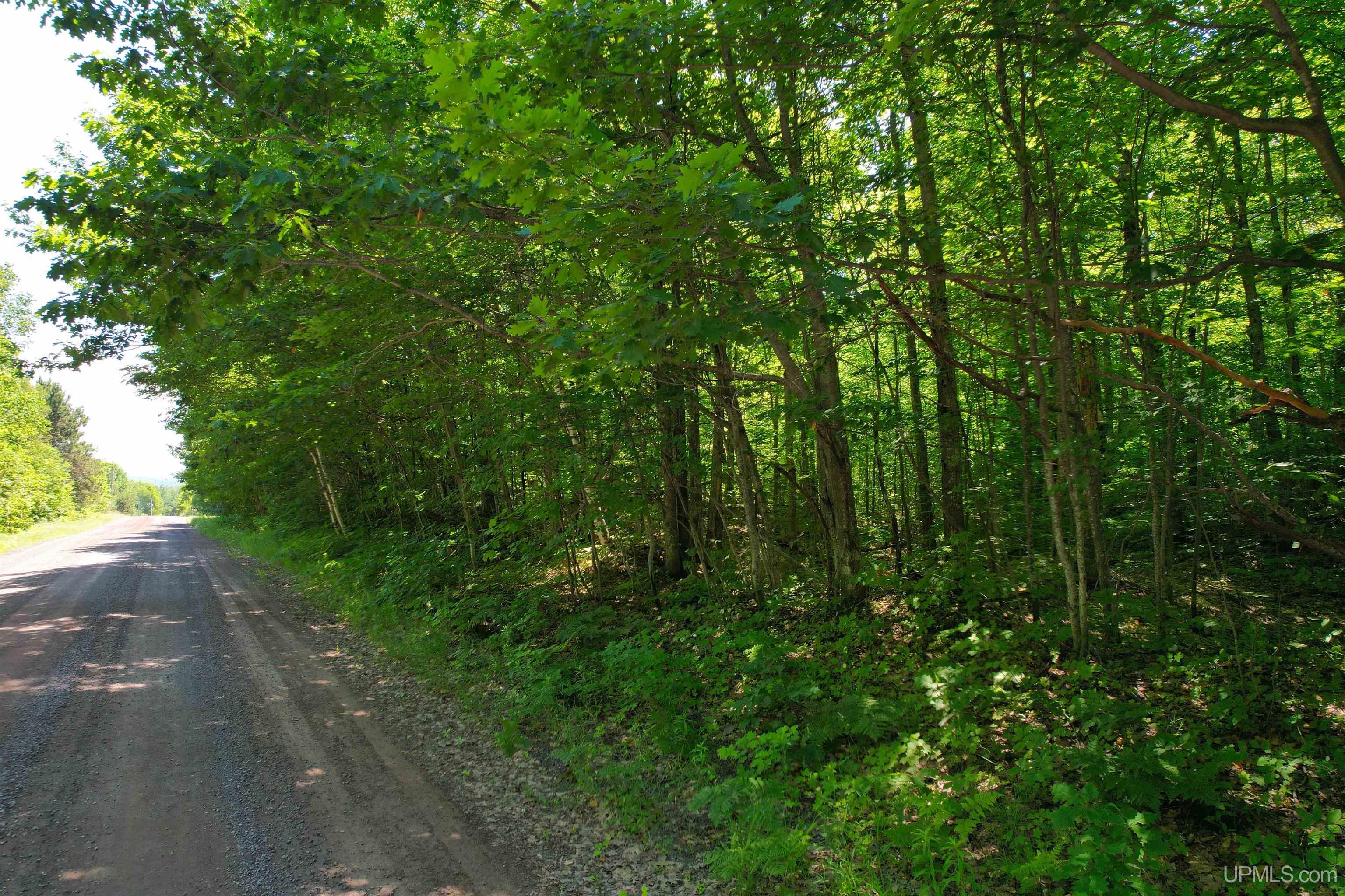 Tbd Superior Shores Road Atlantic Mine, MI 49905 - Photo 1 of 27