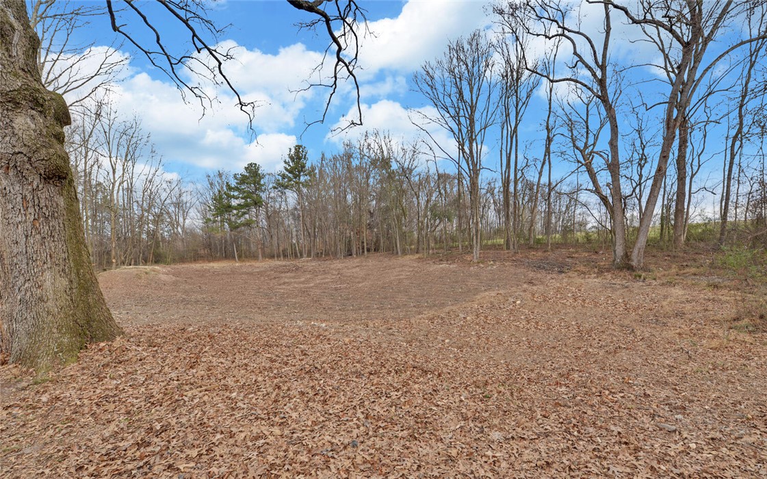 3798 Bethany Bowersville Road Canon, GA 30520 - Photo 35 of 39