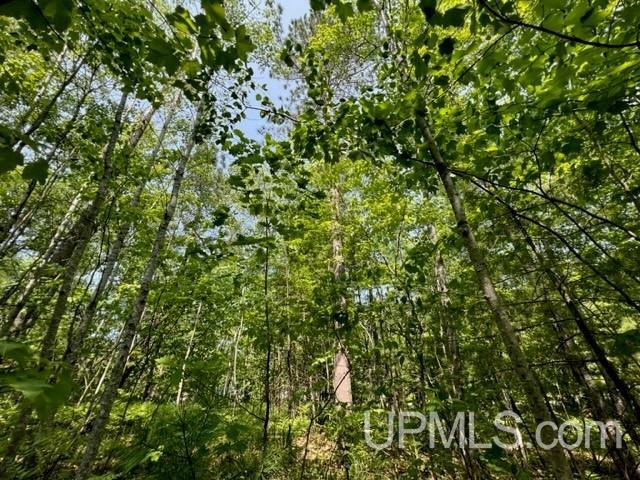 Tbd Powell Lake Road Wetmore, MI 49895 - Photo 3 of 13