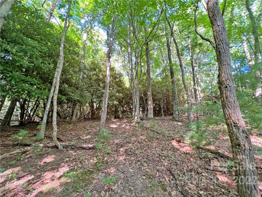 999 Big Pine Road Marshall, NC 28753 - Photo 1 of 26 Gallery Image 1