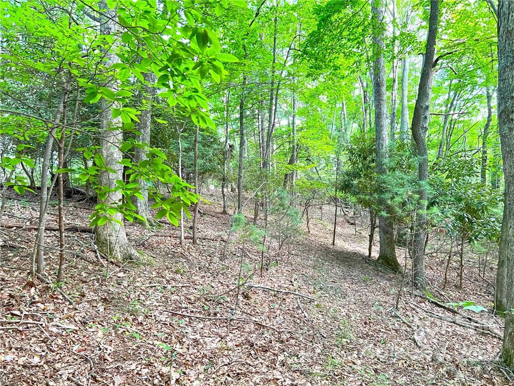 999 Big Pine Road Marshall, NC 28753 - Photo 17 of 26 Gallery Image 17