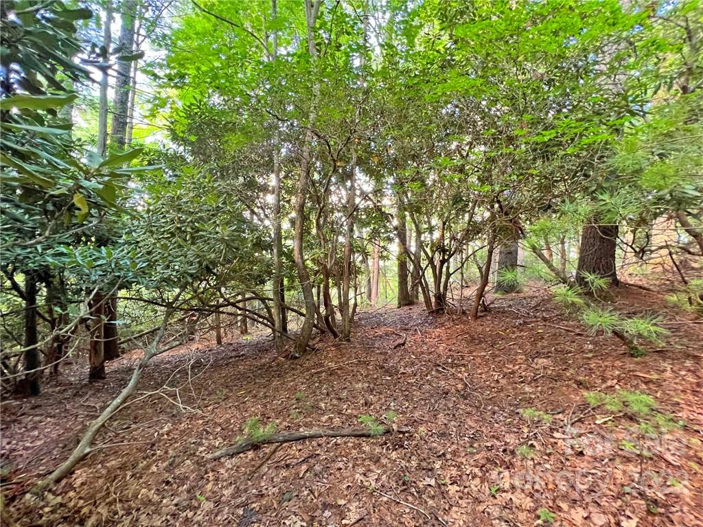 999 Big Pine Road Marshall, NC 28753 - Photo 18 of 26 Gallery Image 18
