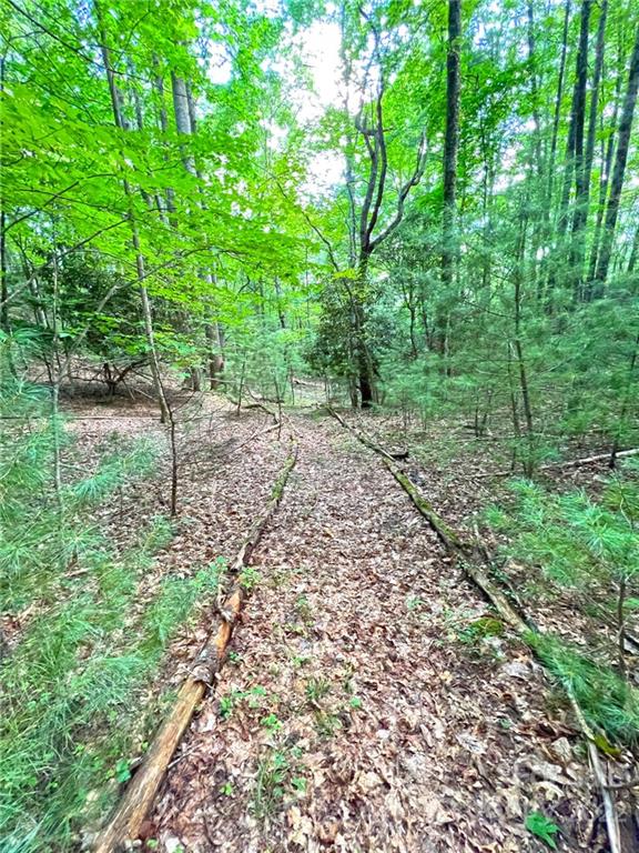 999 Big Pine Road Marshall, NC 28753 - Photo 2 of 26 Gallery Image 2