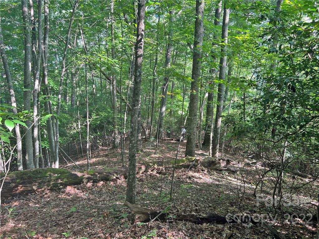 999 Big Pine Road Marshall, NC 28753 - Photo 21 of 26 Gallery Image 21