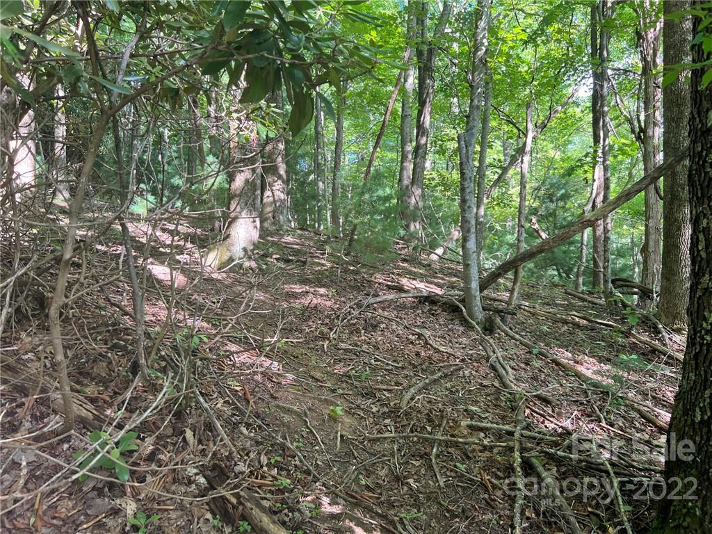 999 Big Pine Road Marshall, NC 28753 - Photo 23 of 26 Gallery Image 23