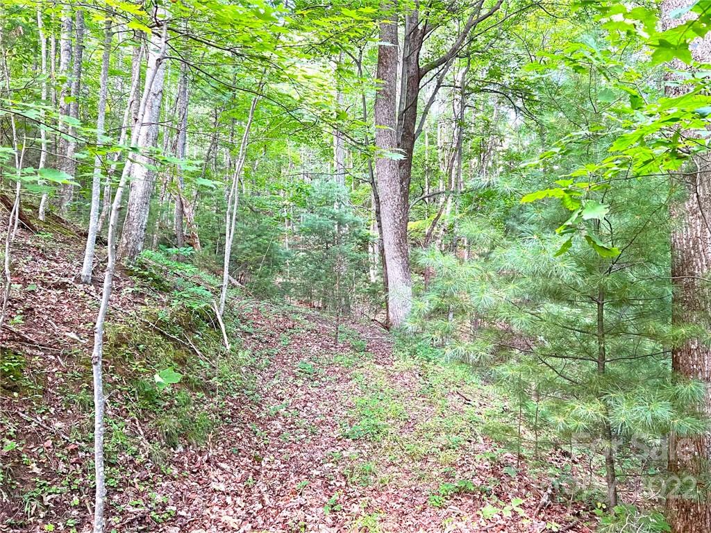 999 Big Pine Road Marshall, NC 28753 - Photo 24 of 26 Gallery Image 24
