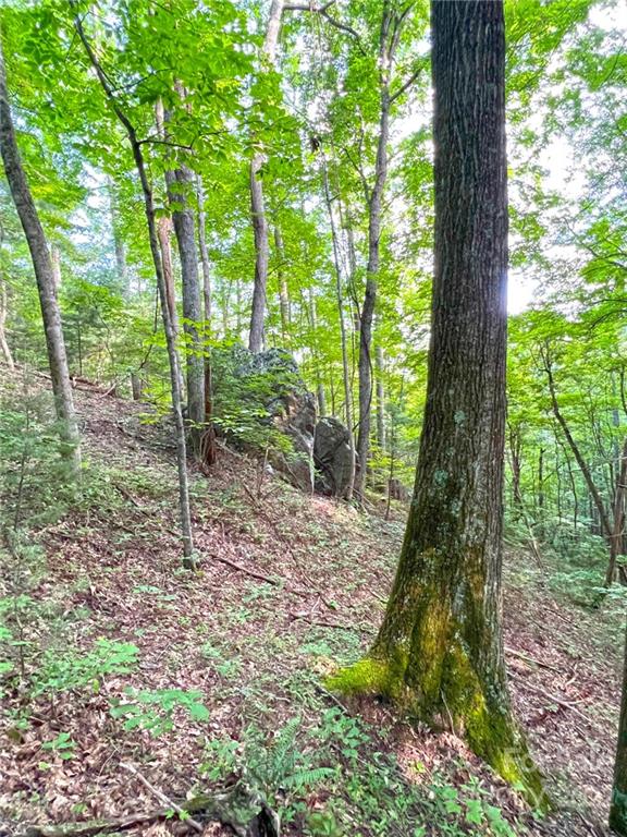999 Big Pine Road Marshall, NC 28753 - Photo 25 of 26 Gallery Image 25