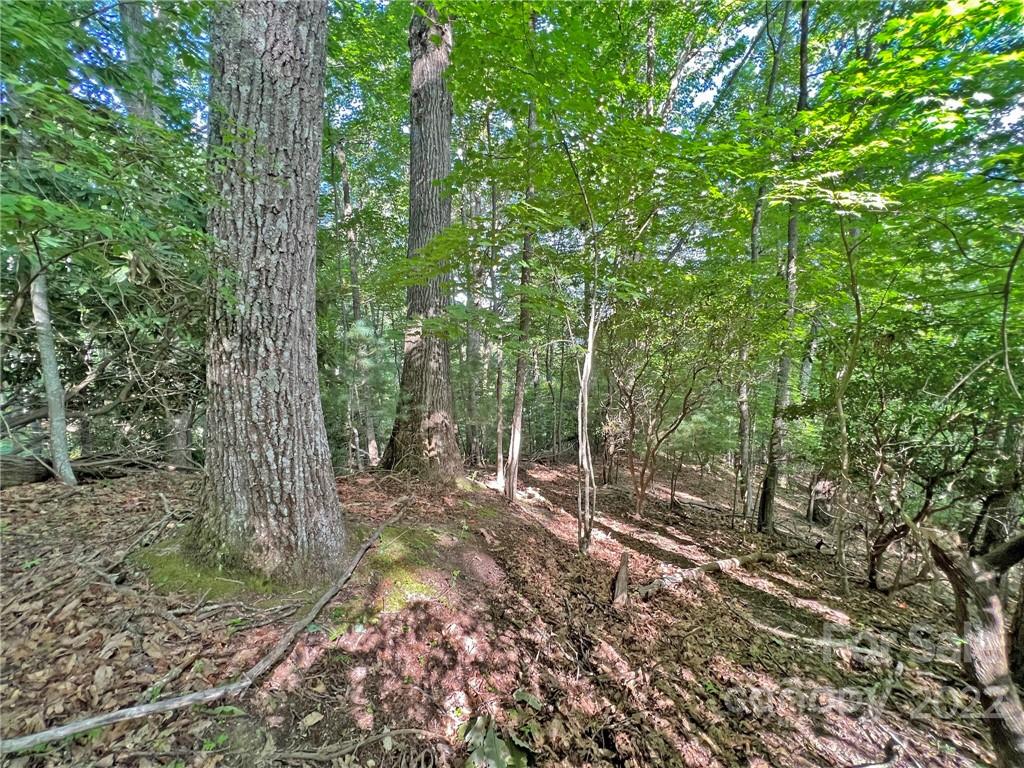 999 Big Pine Road Marshall, NC 28753 - Photo 7 of 26 Gallery Image 7