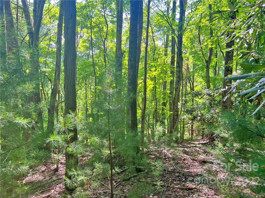 999 Big Pine Road Marshall, NC 28753 - Photo 8 of 26 Gallery Image 8