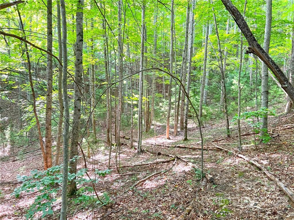 999 Big Pine Road Marshall, NC 28753 - Photo 10 of 26 Gallery Image 10