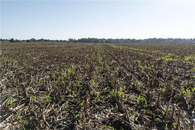 $1 | 0 Decatur Road, Fredonia, KS 66736