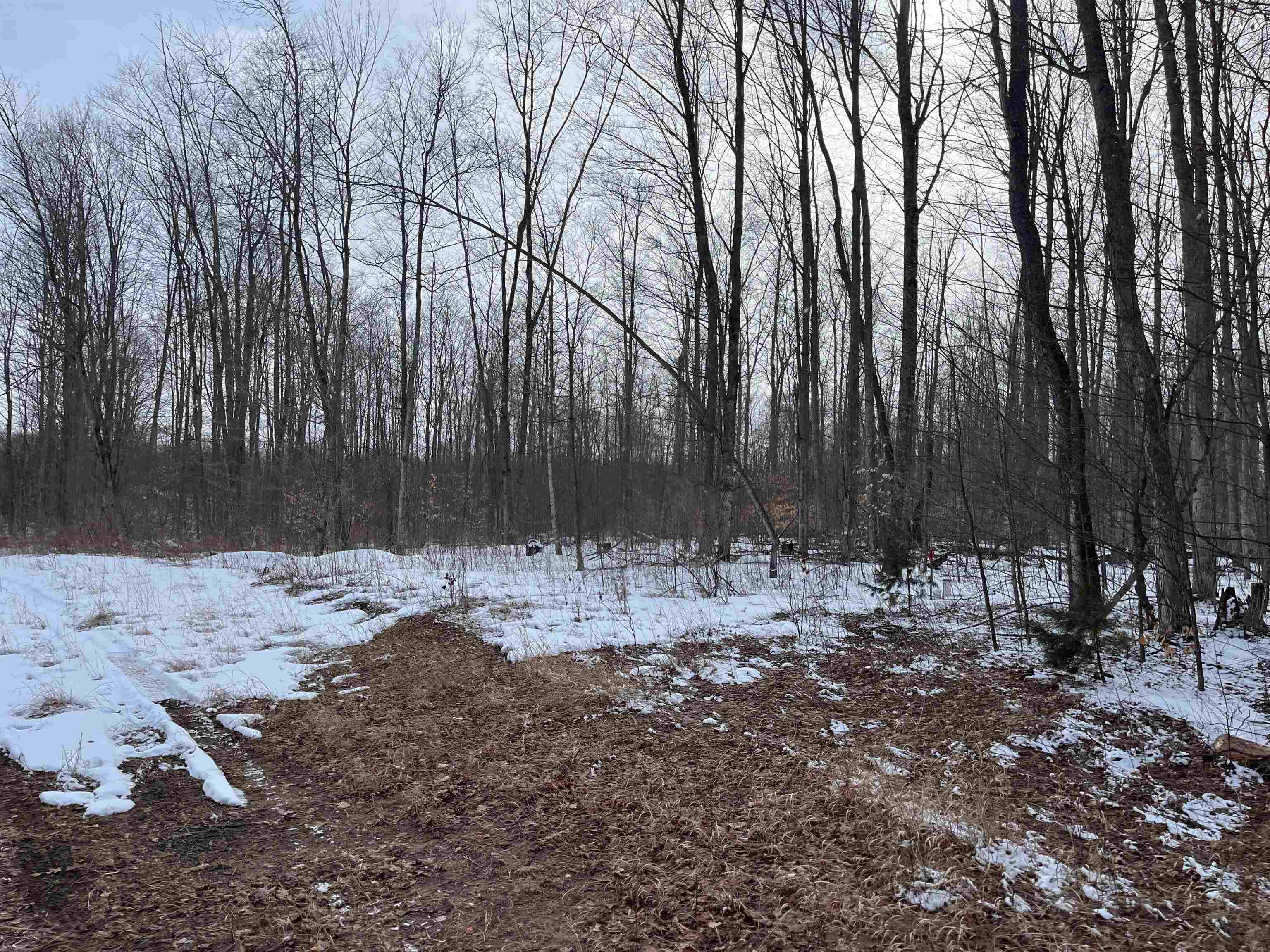3 King Road, Unit LOT: 3 Benzonia, MI 49616 - Photo 14 of 14