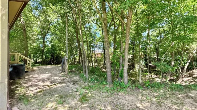 a view of a forest with trees in the background