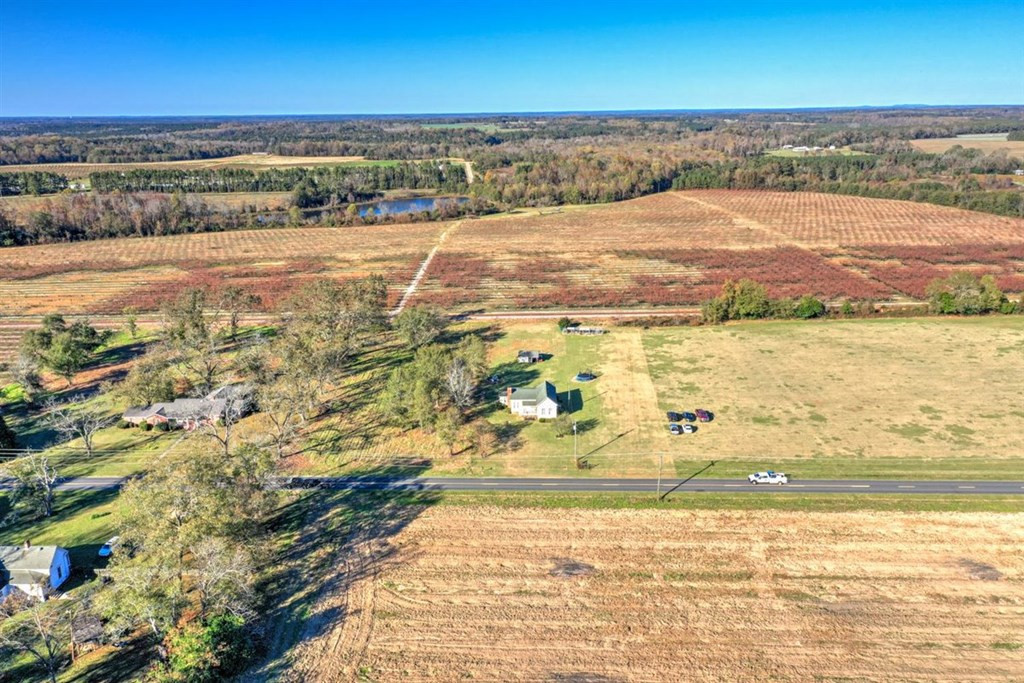 229 Early Sims Road Ridge Spring, SC 29129 - Photo 6 of 41