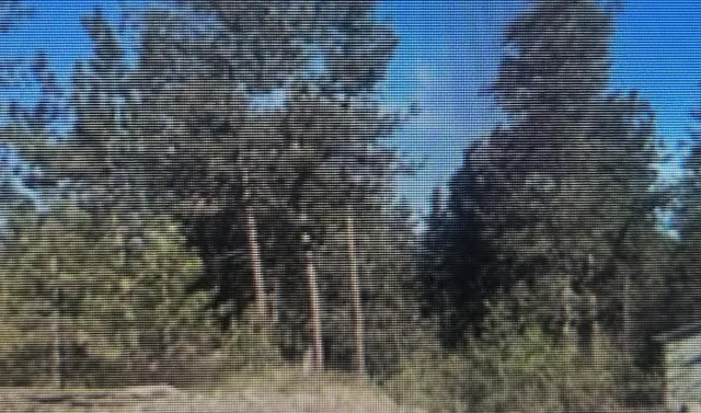 $80,000 | 3410 South Sipko Lane, Spokane, WA 99224