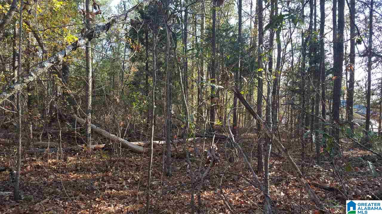 0 Haven Circle, Unit 39 Riverside, AL 35135 - Photo 10 of 32
