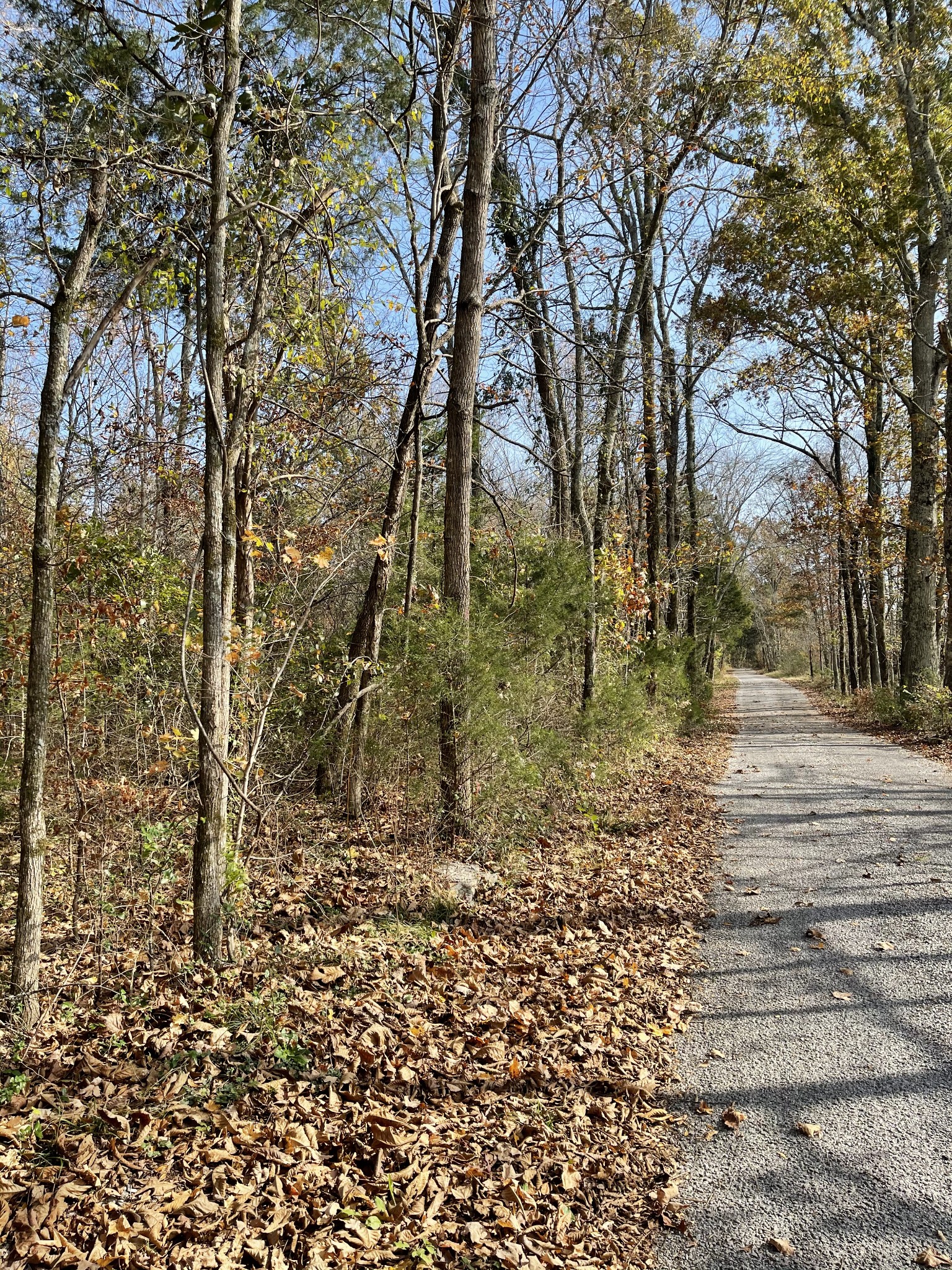 2516 West Jones Road Lewisburg, TN 37091 - Photo 7 of 10 Gallery Image 7