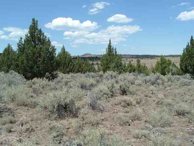 15500 Frontier Road Reno, NV 89508 - Photo 1 of 1 Photo 1