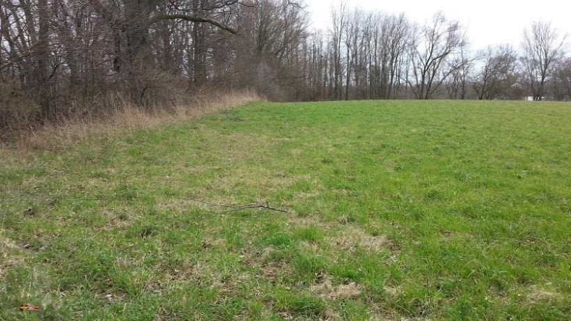 Five 5 Points Road Edwardsburg, MI 49112 - Photo 6 of 10 East Boundary