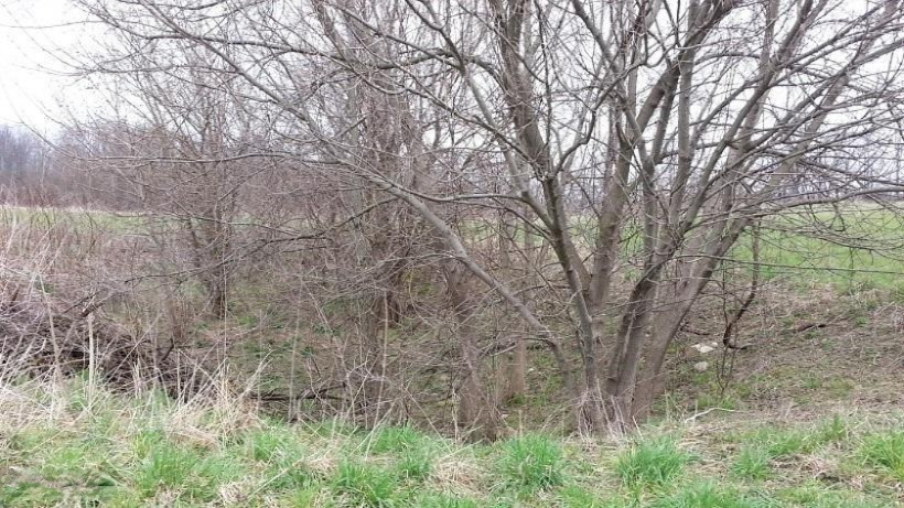 Five 5 Points Road Edwardsburg, MI 49112 - Photo 7 of 10 Low Spot