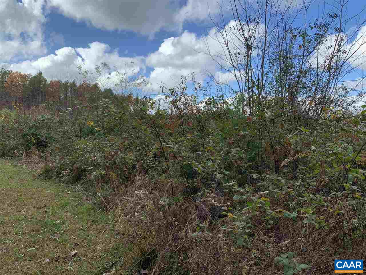 0 Transco Road Scottsville, VA 24590 - Photo 2 of 8 Gallery Image 2