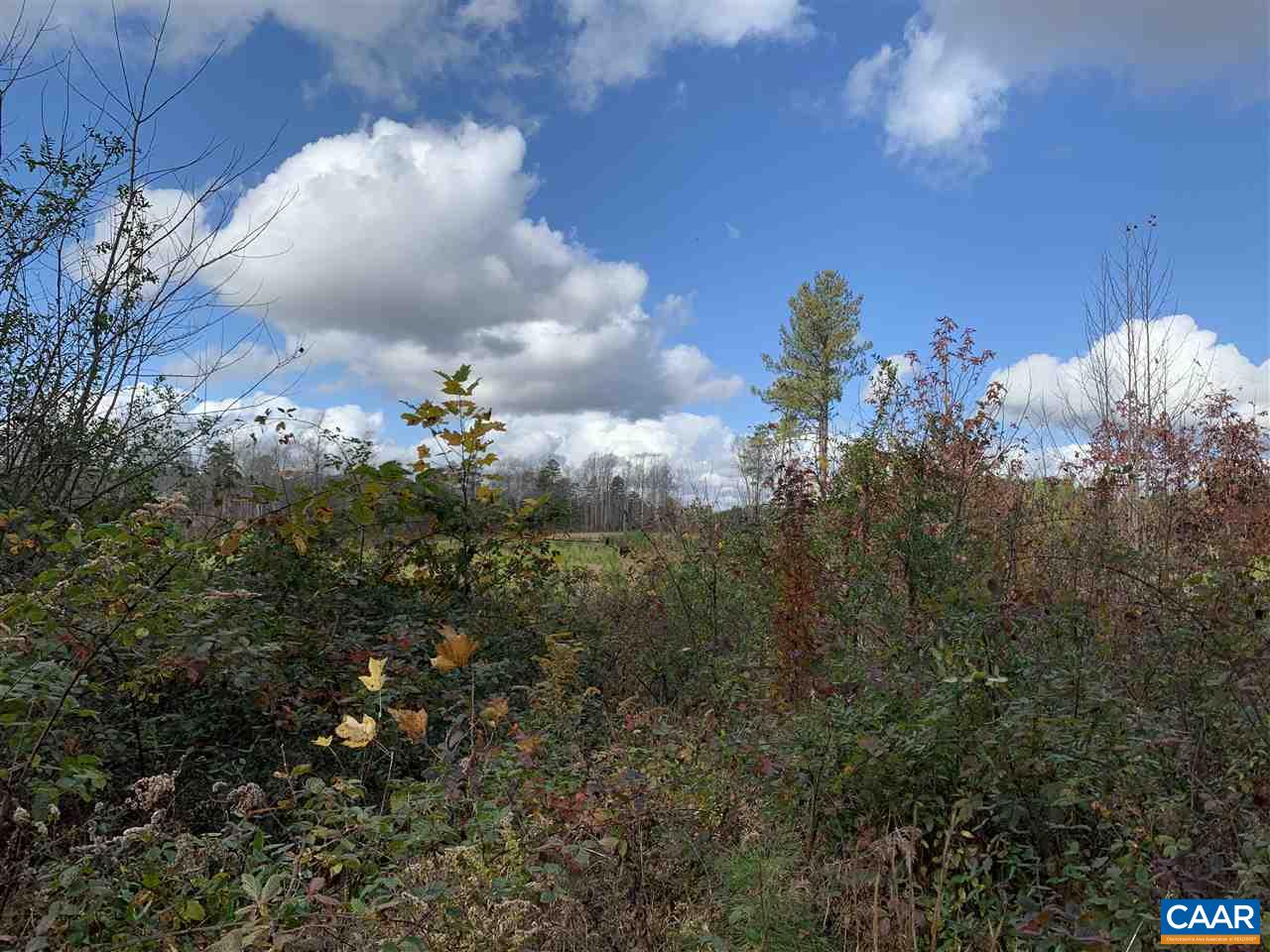 0 Transco Road Scottsville, VA 24590 - Photo 5 of 8 Gallery Image 5
